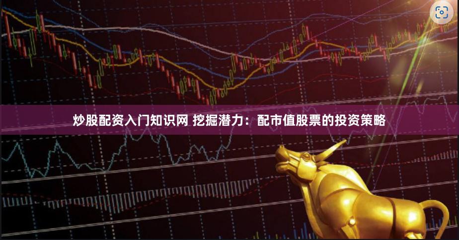 炒股配资入门知识网 挖掘潜力：配市值股票的投资策略