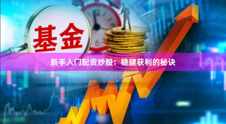 新手入门配资炒股：稳健获利的秘诀
