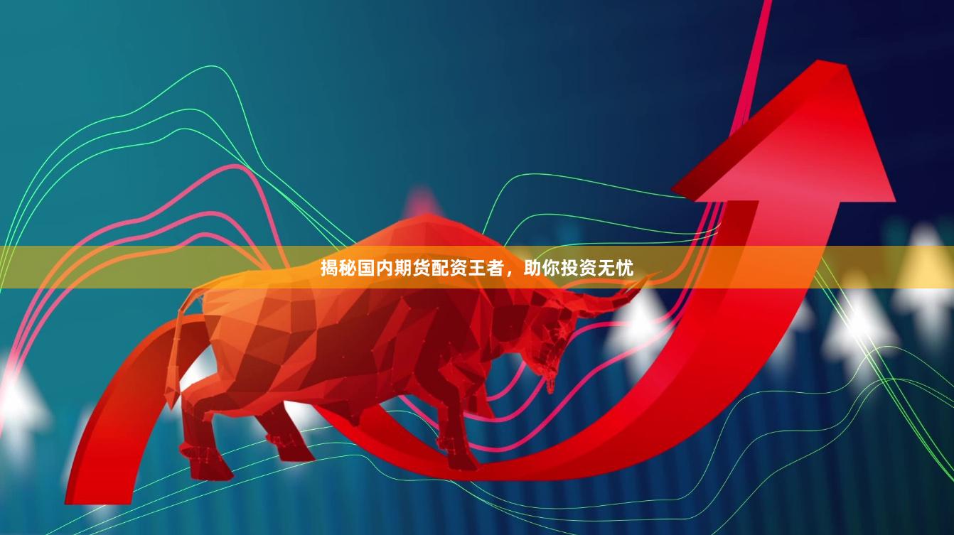 揭秘国内期货配资王者，助你投资无忧