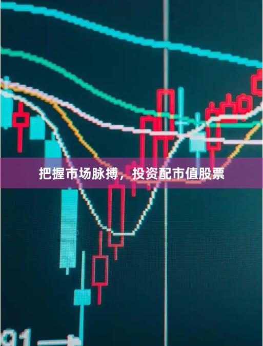 把握市场脉搏，投资配市值股票