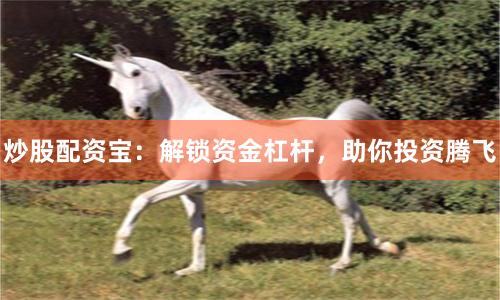 炒股配资宝：解锁资金杠杆，助你投资腾飞